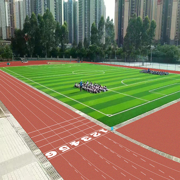 深圳市南灣學校 深圳市南灣學校